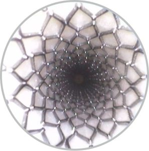 Hawkeye Borescope Stent Inspection